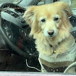 Regentag - Rainy day