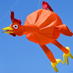 I'm Flying! I'm Flying!