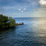 Birdies enjoying the morning sun.