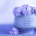 24/30: It's the little things in life...