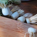 MM 1 May 2023: Off with their heads!