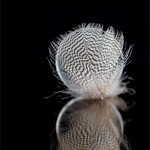 ... if you want to fly, give up everything that weighs you down ...