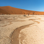 dead vlei