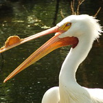 I tell ya the fish ain't bitin' today...