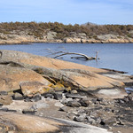 M&aelig;rrapanna 4.8, Fredrikstad, Norway