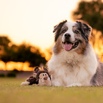 Quality Time (25/52)