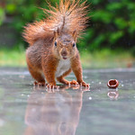 c'est un miracle !!! (on Explore! ⭐ June 27, 2023)