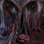 Bosque nocturno - Night forest