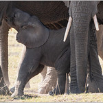 Persistence pays off.