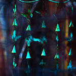 butterflies & b e l l s