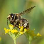 Into the Summer - 09