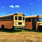schoolbuses