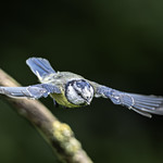 Glide into a new week