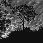 Straight up and down