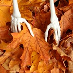 Working My Fingers To The Bone, Picking Up Leaves