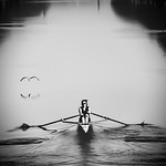 Row the boat&hellip;&hellip;