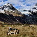 Sniffing for my Flickr friends