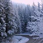 R&ecirc;ve d'hiver. #1