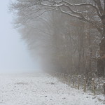 Into the Deep Nothing