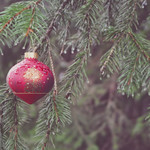 361/365 - December rain