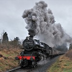 Flying Pig Farewell Day!