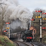 Flying Pig Farewell Day!