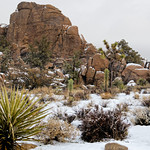 Rock Formations on a Snowy Day (Joshua Tree National Park)