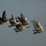 Flying high &hellip;explored &hellip;