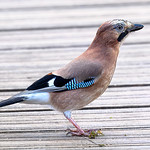 A very colourful good morning 😊