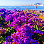 The colors of Cape Town