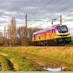 HSL Logistik 2019 308-6 "Desert Rider" @ Ekeren 🇧🇪