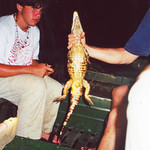 Amazon 037 August 2000.jpg