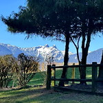 HFF: Capilano River Park & The Lions