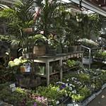 D&uuml;sseldorf, Carlsplatz Markt Impressionen, 04