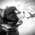 Come Back! Come Back!