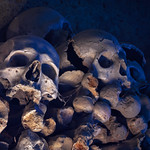 the sun shall lose its brilliance, now dark and veiled