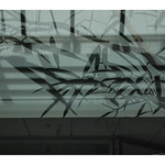 through the roof windows