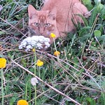 Combination of flora and fauna. Smile on Saturday 3-08-2024