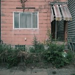 No One Wants the Little Pink House