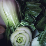 Pak choi con amore