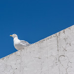 Vantage point ! Aug. 2024