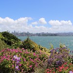 Throwback Thursday: Flower Power in Alcatraz