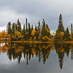 **Reflection Perfection**