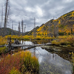 Homestake Creek Autumn