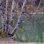 Hanging out on the banks of the North Saskatchewan River.