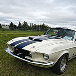 1967 Shelby GT500