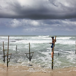 Stilt Fishermen Sri Lanka