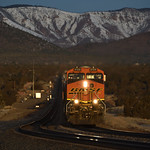 By Dawns Early Light