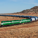 APA 99 on the Home Stretch