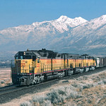 Big DDs Making the Grade to Mount